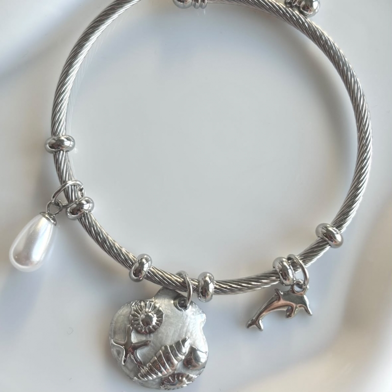 Βραχιόλι ατσάλινο με charms